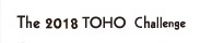 The 2018 TOHO Challenge