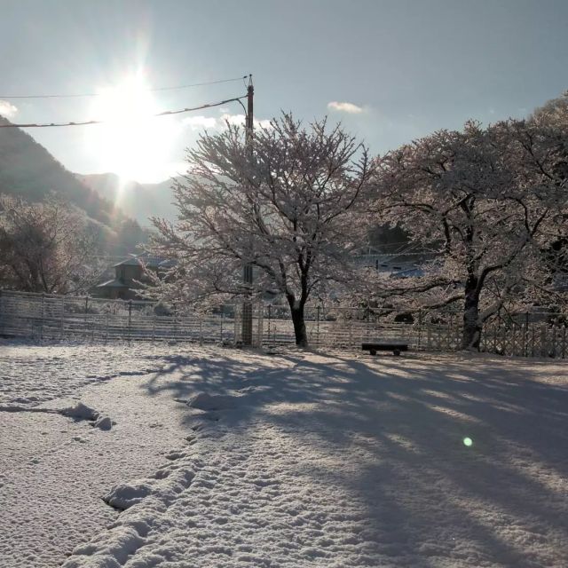 #tohobeads#広島工場

おはようございます!
今日の広島工場。
寒い🌄朝ですが、キラキラ✨ですヨー!
今日も頑張ります🤗